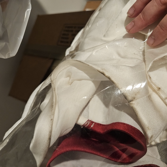 Alfred Angelo Ivory and Red Wedding Dress - Picture 6 of 6